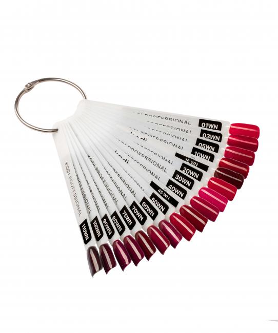 Palette de teintes vernis semi-permanent série Wine (16 tips)